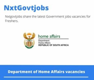 Department of Home Affairs Indexer Vacancies in Cape Town 2023