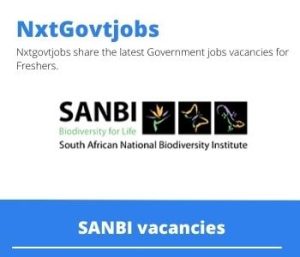SANBI Financial Management Director Vacancies in Cape Town – Deadline 18 Aug 2023