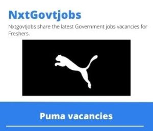 Puma Customer Sales Coordinator Vacancies in Cape Town  – Deadline 04 May 2023