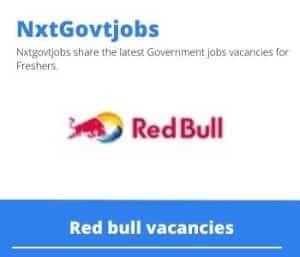 Red bull Promotion Vacancies in Western Cape 2023