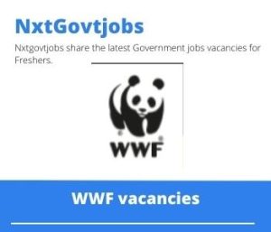 WWF Field Sales Agent Vacancies in Cape Town – Deadline 29 Feb 2024