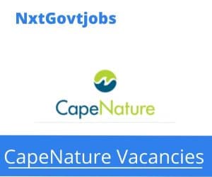 Capenature Field Ranger Vacancies in Overberg – Deadline 19 Jan 2024
