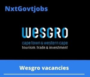WESGRO It Engineer Vacancies in Cape Town – Deadline 20 Jul 2023