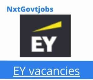 EY Supply Chain Associate Vacancies in Cape Town – Deadline 25 Jan 2024