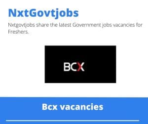 Bcx Tech Officer Technical Support Vacancies in Brackenfell – Deadline 05 Sep 2023