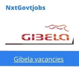 Gibela Storekeeper TSSSA Vacancies in Cape Town – Deadline 31 Jan 2024